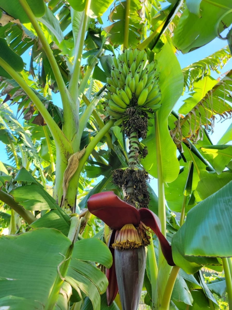 Commercial Property for Sale in Eastford Western Cape